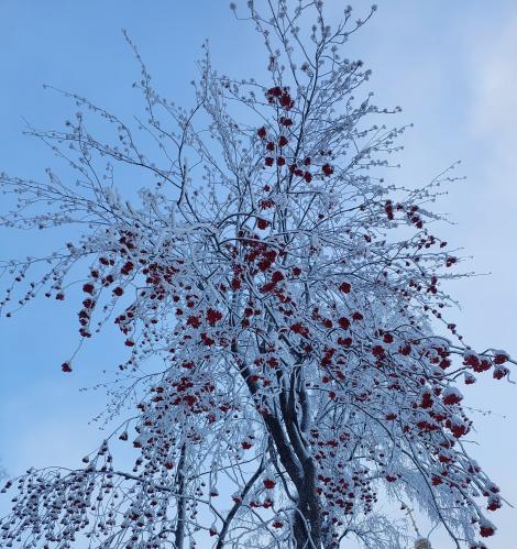 ��������� ��������� 