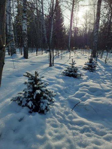 ������ ���� � ����