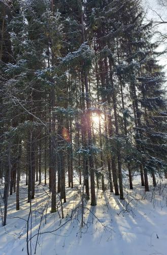 ������ � ������