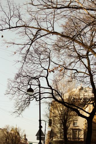 ������������� ����