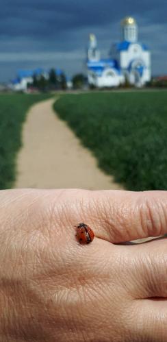 ����� �������.