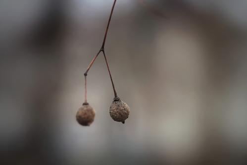 ������� ������. 