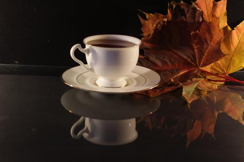 ��� ��� �������