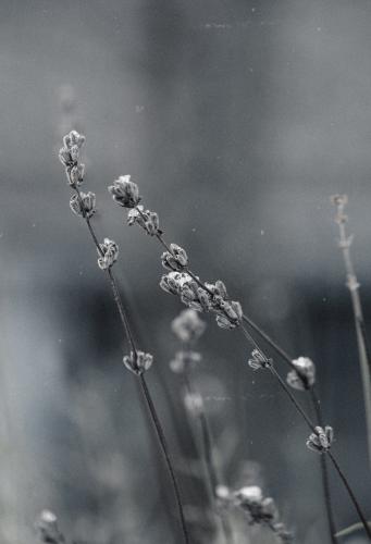 ��������� ������ � �����.