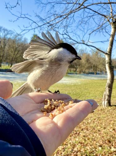 �������