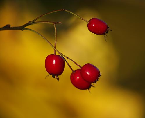 ��������� ������