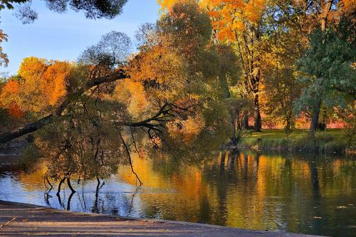 ������ �����. 