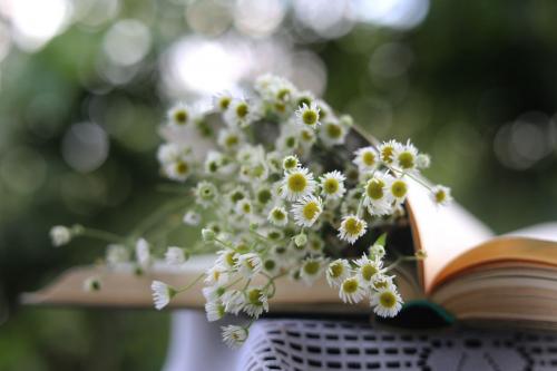 ����� � ��������. 