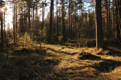 ������� ���