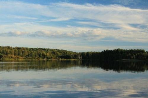 ����� �����������