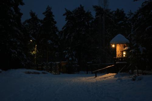 ������ �����