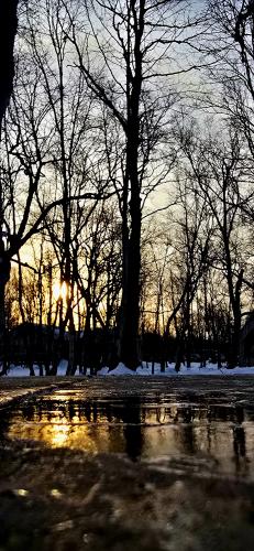 �� ������