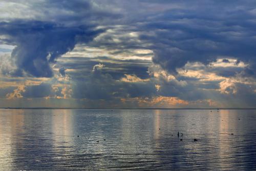 ������� �����. 