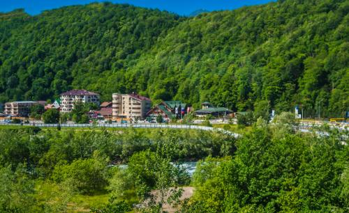 ����������� ���������� ���