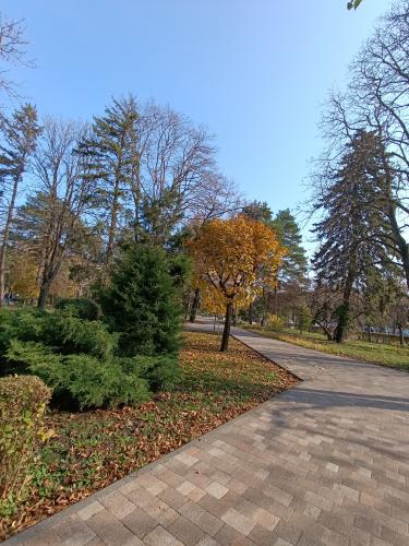 ���� � ����� ��������������...