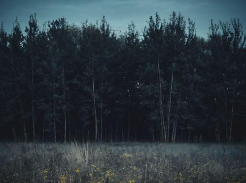 ����� ��� ������ �������