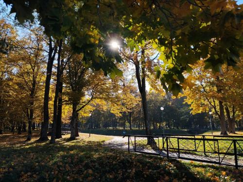 ������� �����