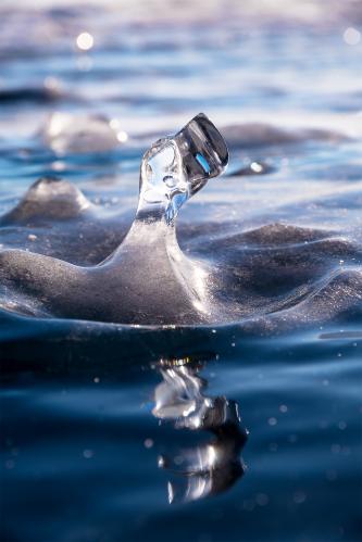 ��������� �����.