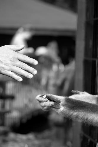 ����������� ������ � ����