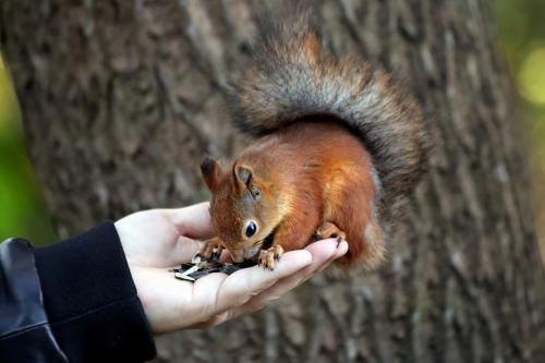 ��� �� ������. 