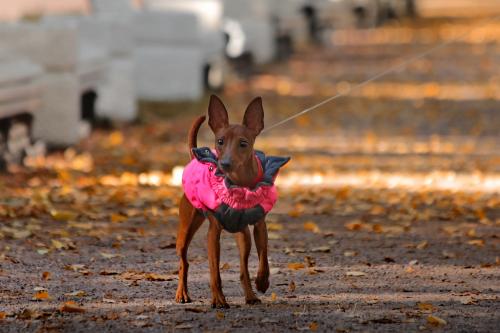 ���� � �������. 