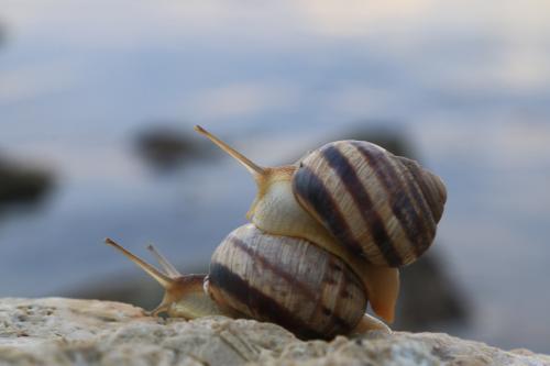 ��, ���������!