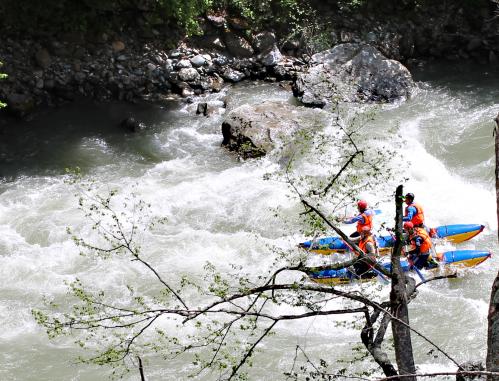 ������ ����