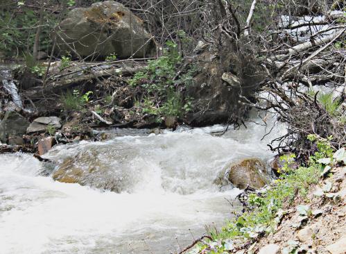 ������ ������