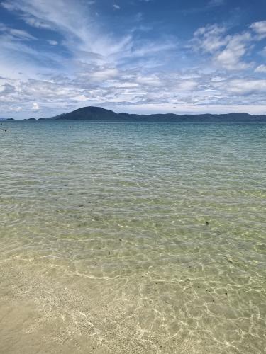 ������ �����