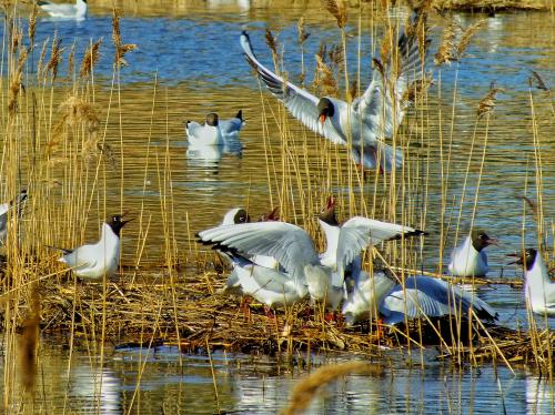 ������� �����!