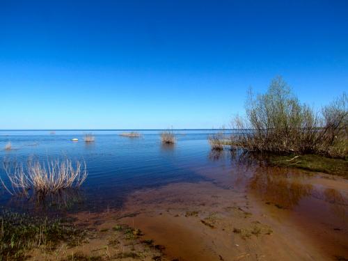 ������ �������.