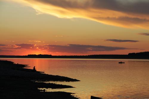 �� ������