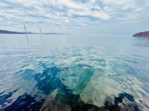 ���������� ���� ��������� �����