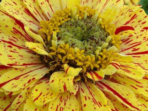 � ������ �����