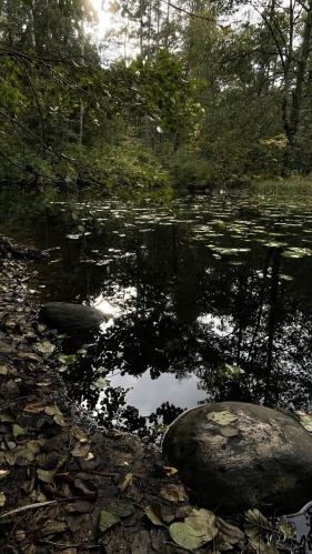 ������� ��������