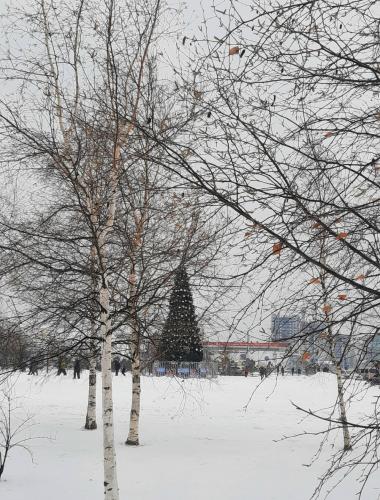 ��������������