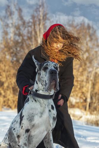 ����� �������