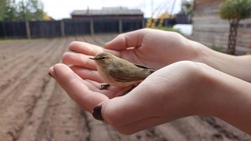 �� � ���� ����� 