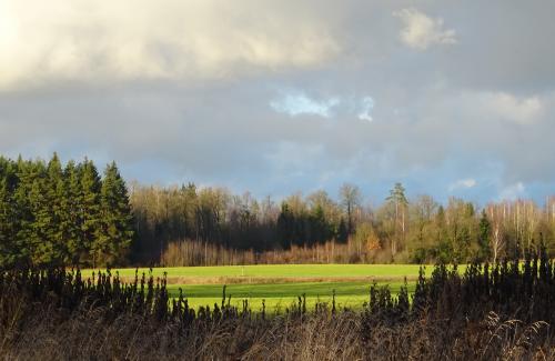 � ������