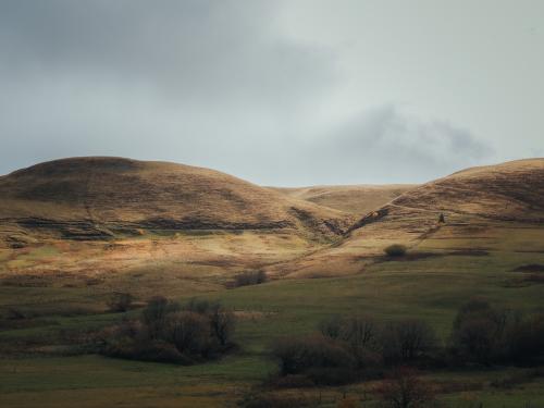 ��������� � �������