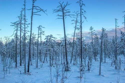 ��������� ���