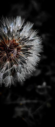 ���� �� ��������