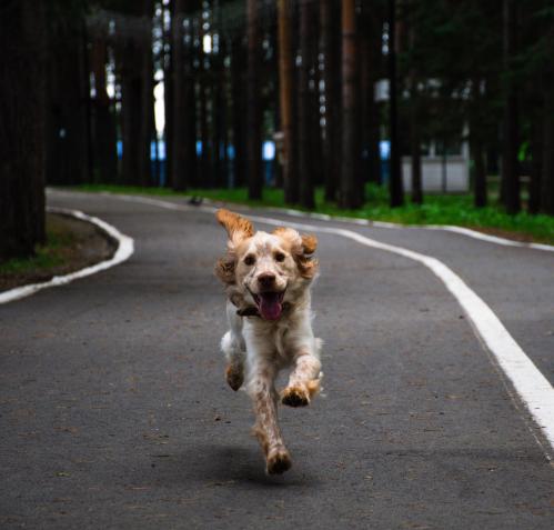 ������� � ����� 