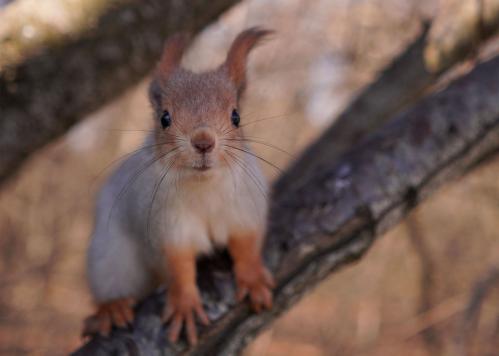 ���. �� �������...