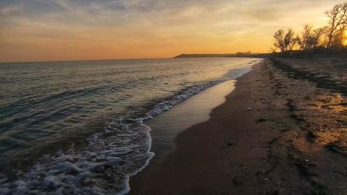 ����. �����