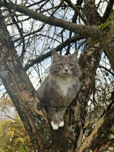 ������ ����. �� ����....