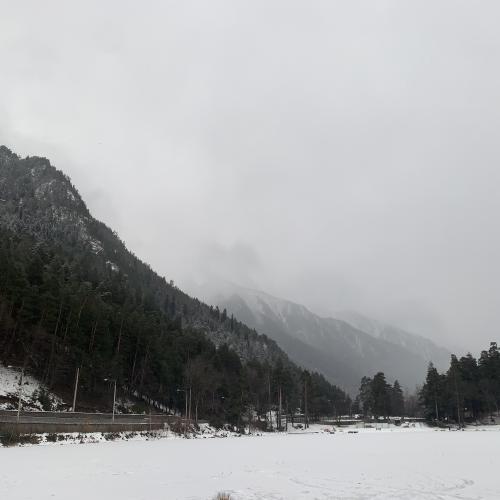 ������� �������������� ��� 