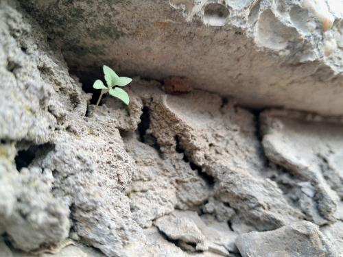 � � �������� ������ ���� �����...