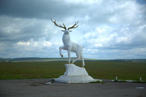 ��������� � ����