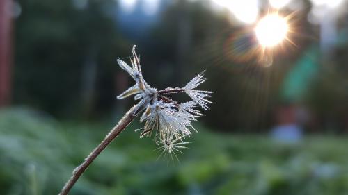 �� ��������, ����, �� ��������...